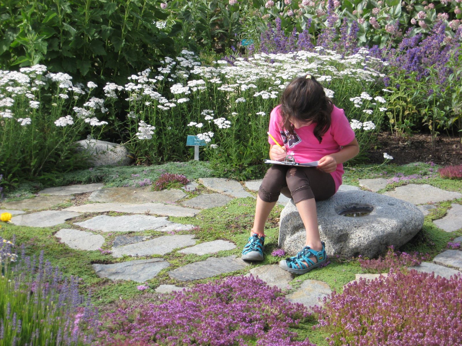 a young girl looks at a book while sitting in the herb garden