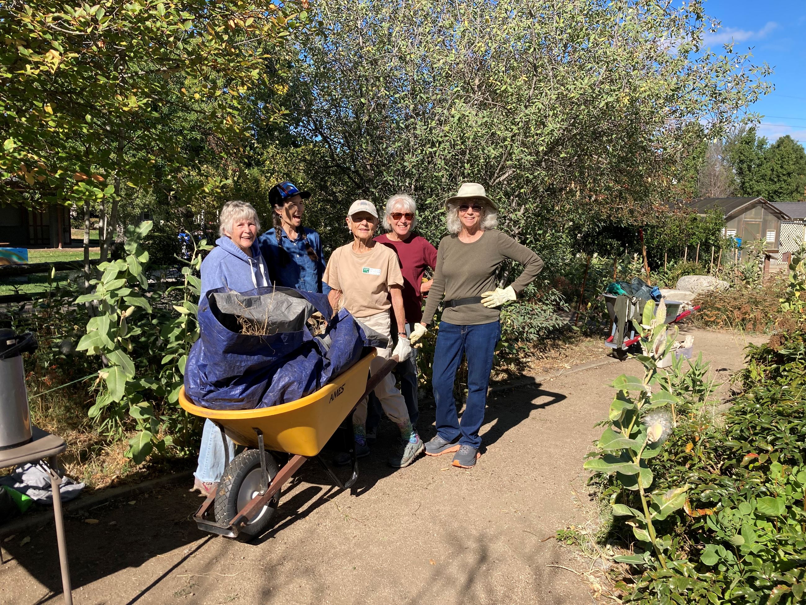Several women stand next to a wheelbarrow full of weeds