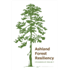 Ashland Forest Resiliency Stewardship Project