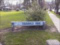Triangle Park Sign