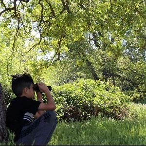 a boy sits in a field looking through binoculars