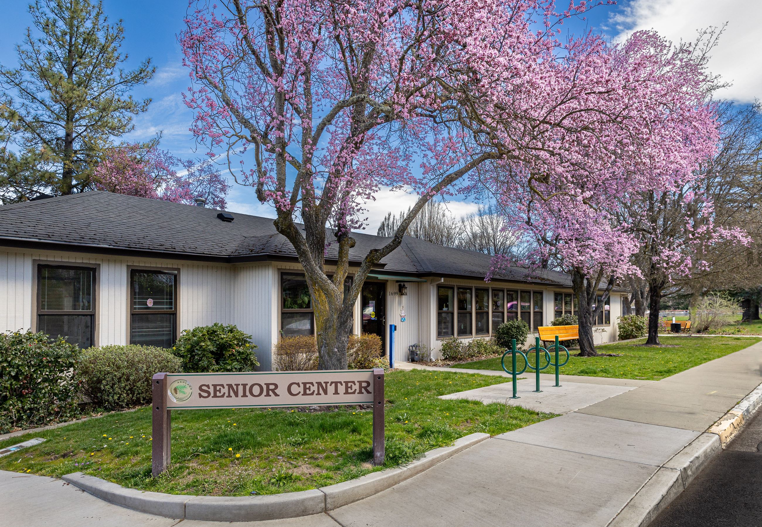 Senior Center looking at the front entrance with blossom trees in front