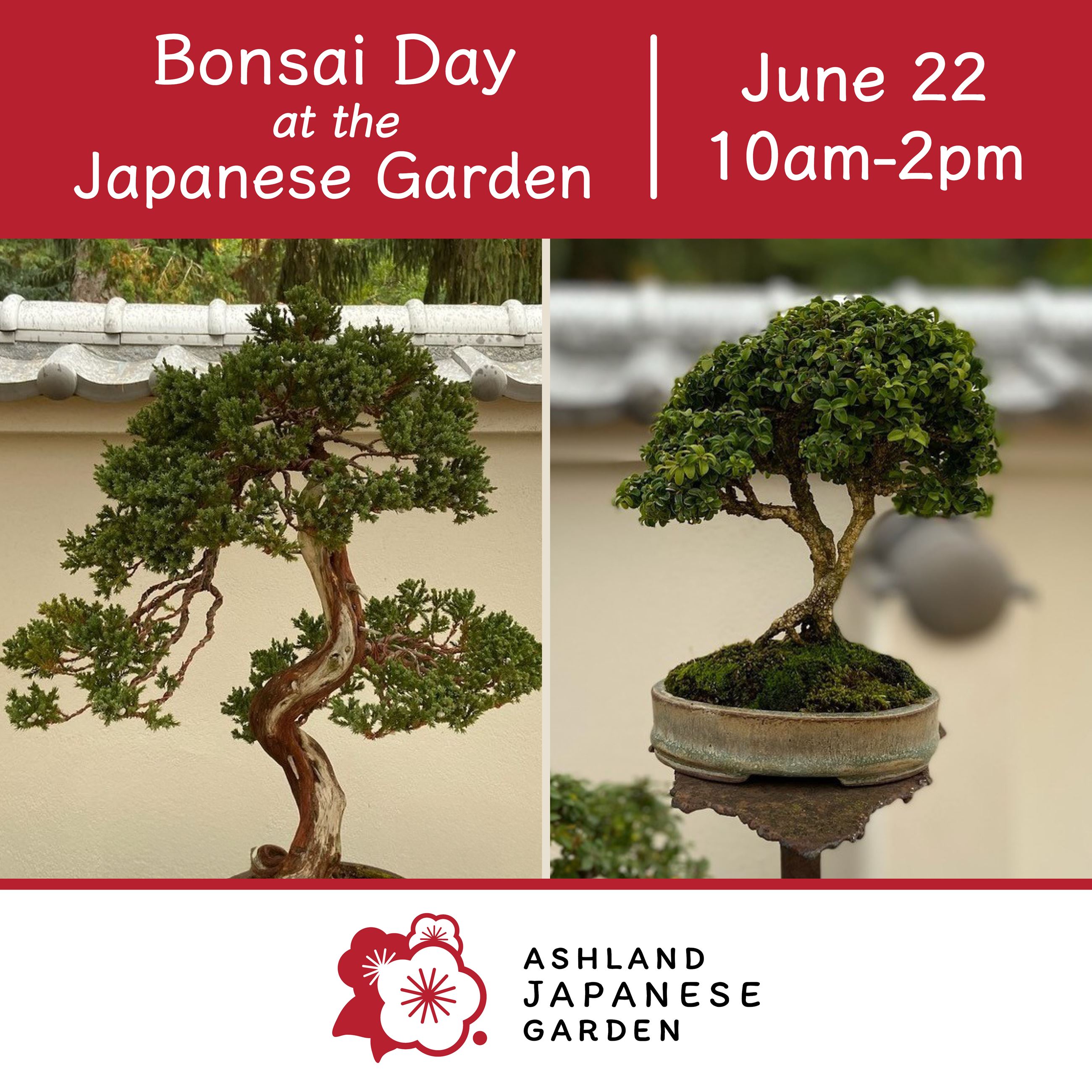 Bonsai Plants featured in a poster to promote the June 22 event