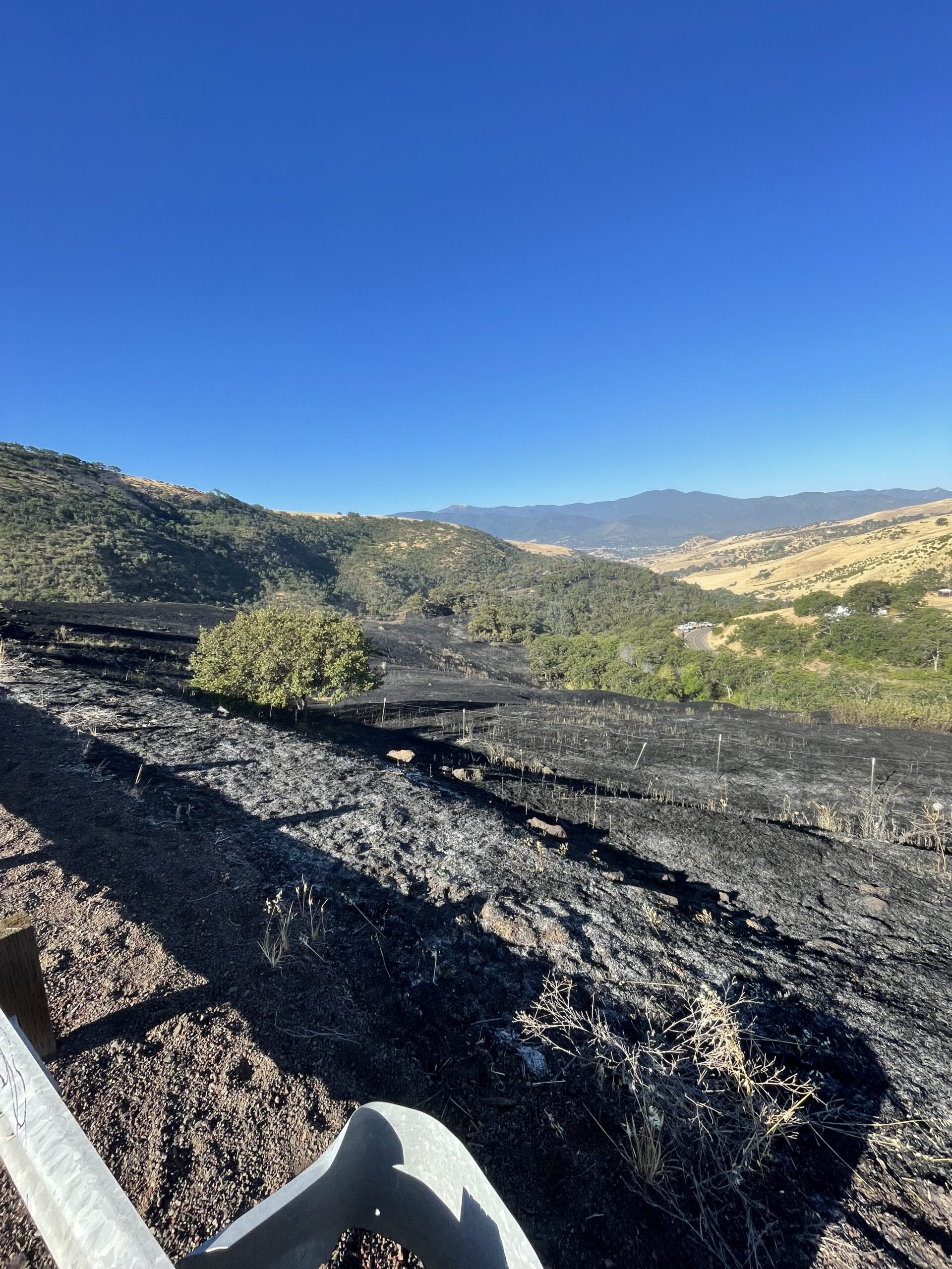 Stopped burn along roadway 