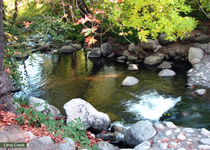 Lithia Creek - Fall Time