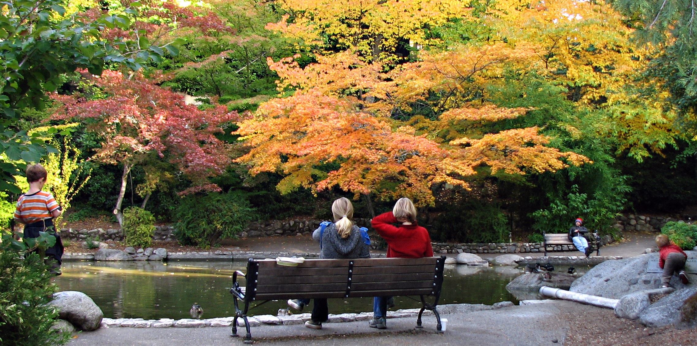 Lower duck pond in Lithia Park in the fall 