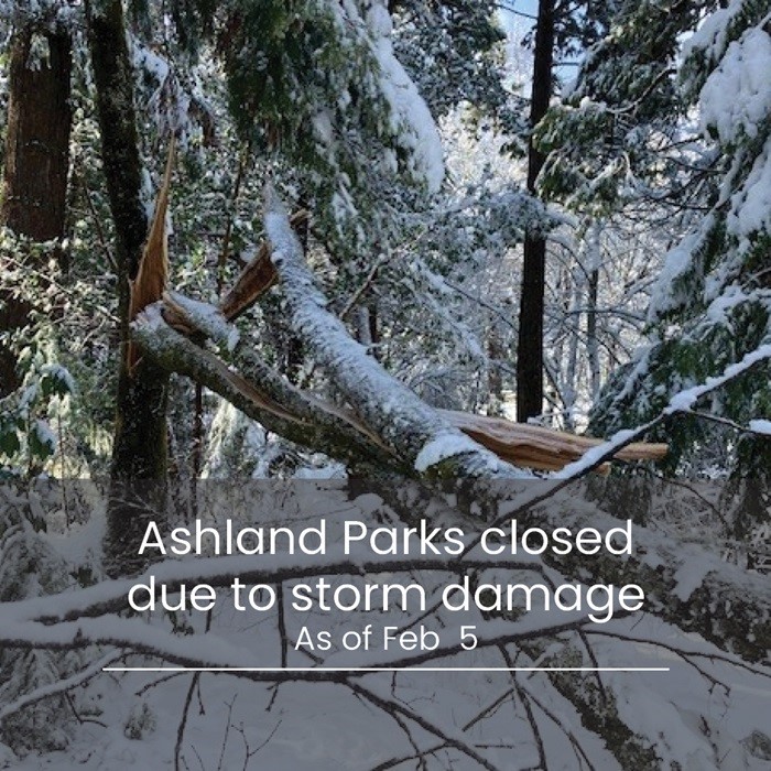 Parks closed due to tree damage 