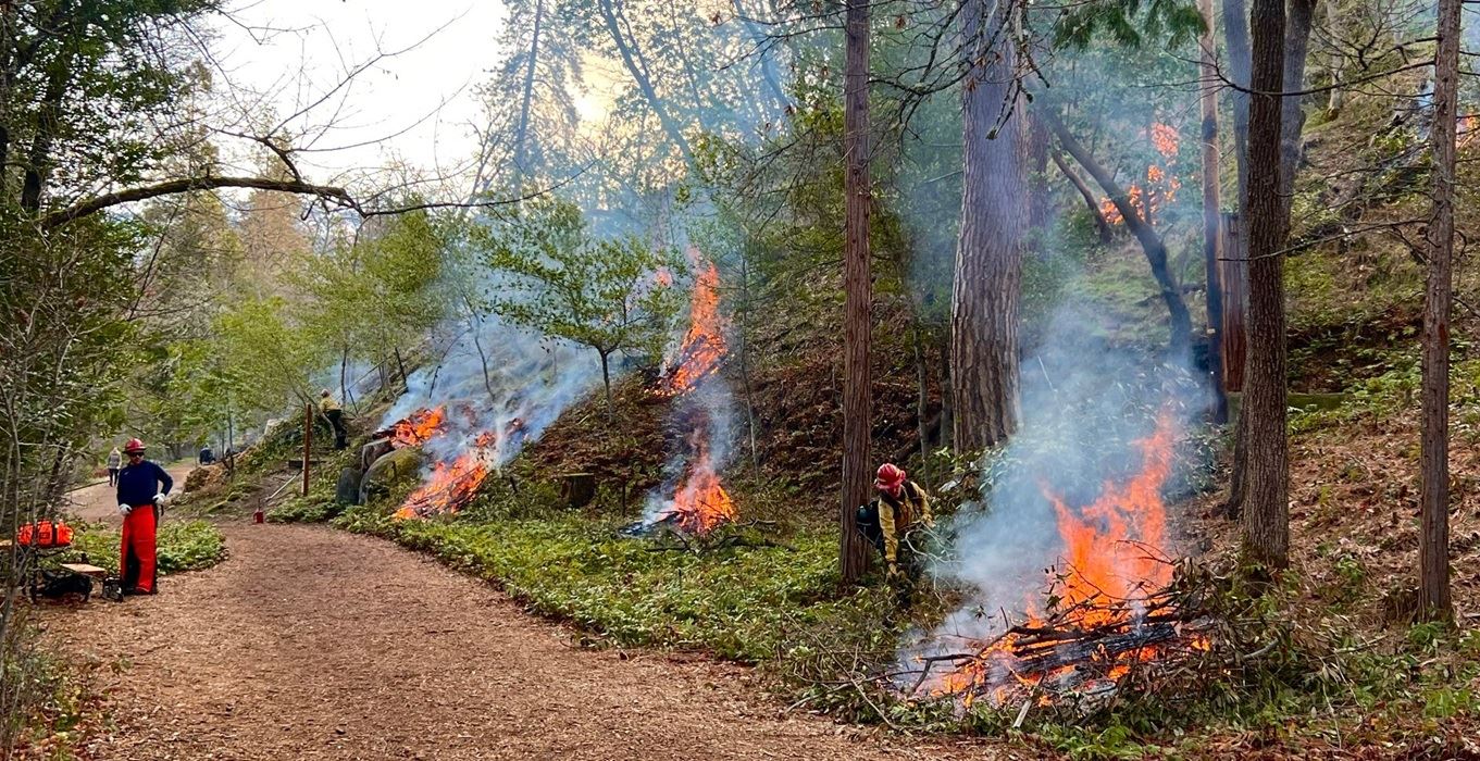Workers tend to burn piles near the hillside 
