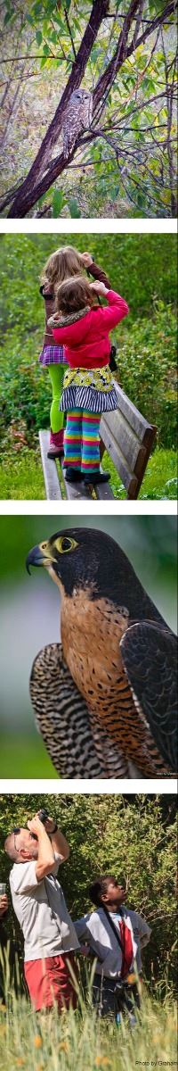 RVBD vertical photo banner