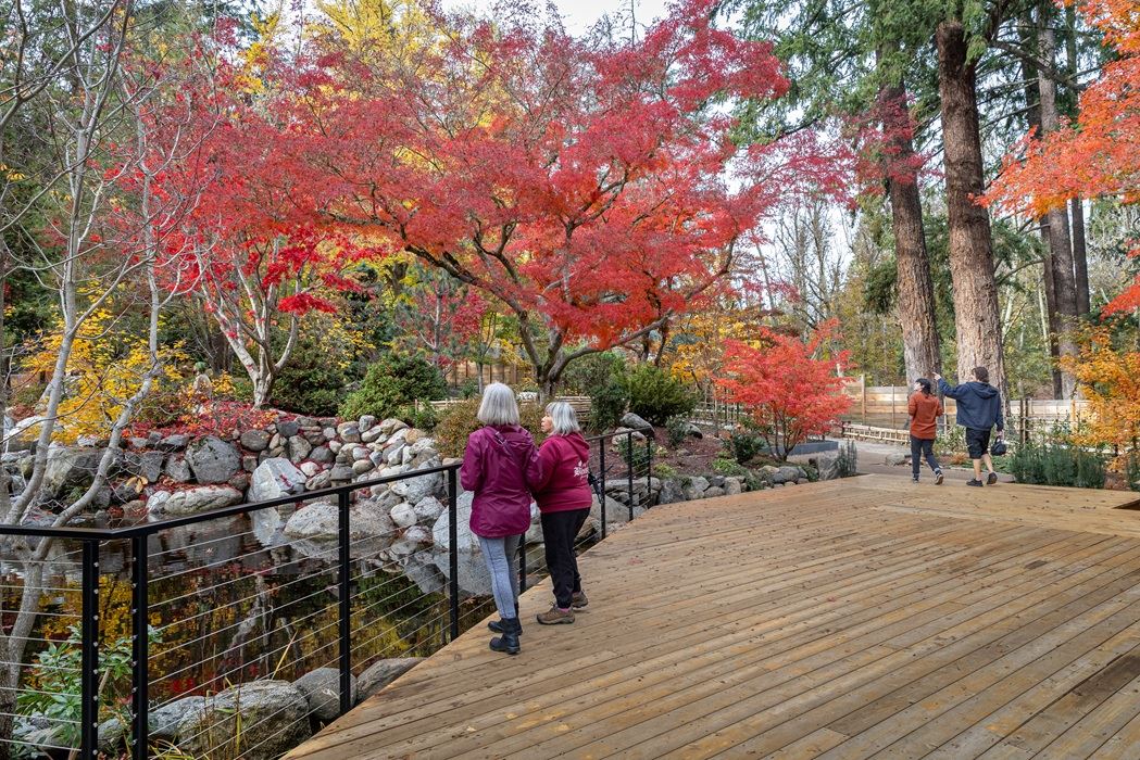 Japanese Garden in Lithia Park 