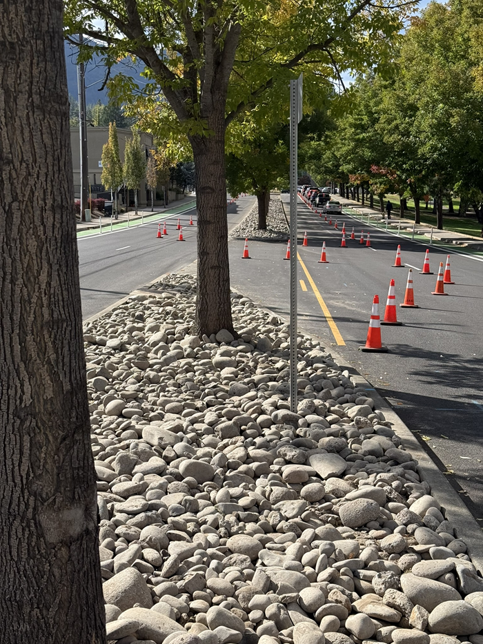 Rocks in median on a busy street