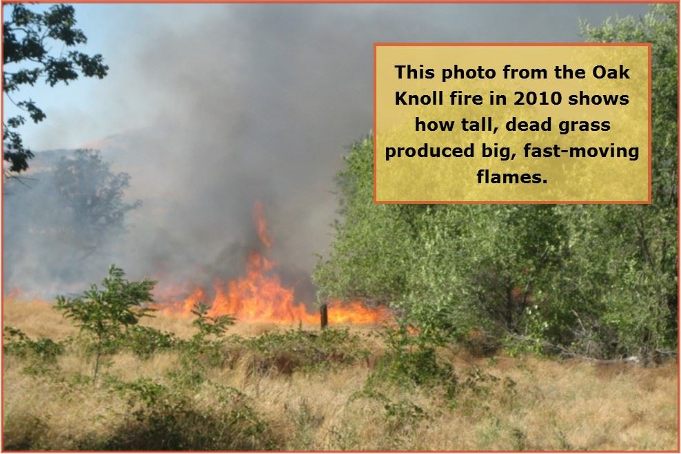 Oak Knoll Fire