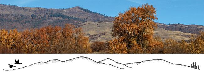 North Mountain Park Nature Center Banner