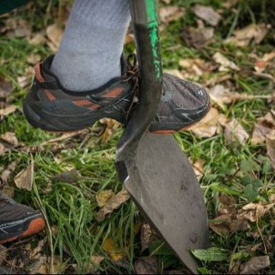 Volunteering and Stewardship