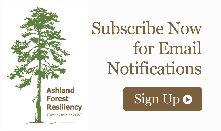 Subscribe Now for Email Notifications