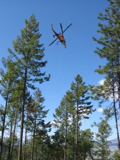 A helicopter is hovering over a forest canopy with a cable extending down to be used for removing de