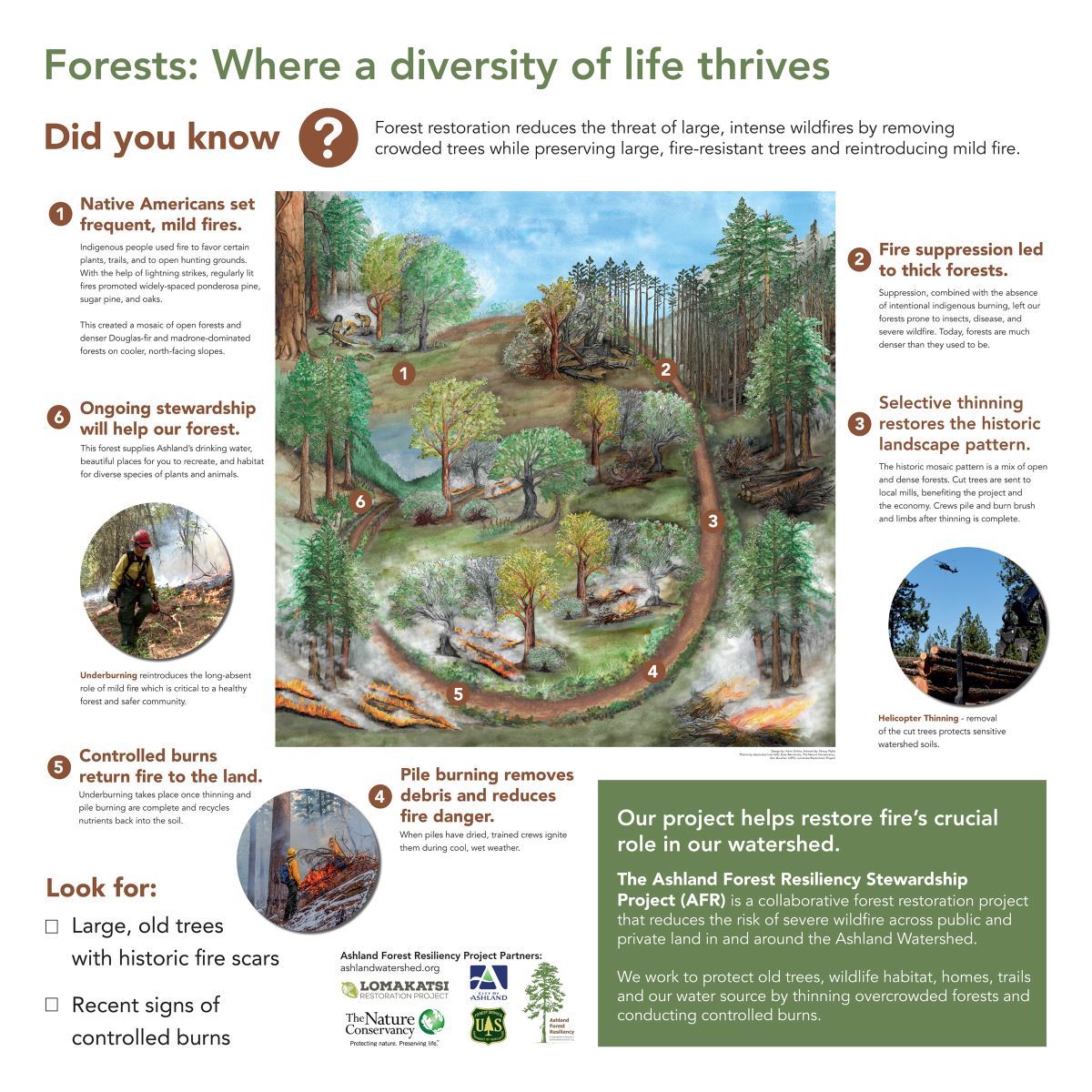 Forest Conditions Sign FINAL