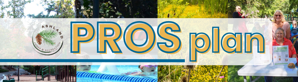 PROS Plan Page Banner