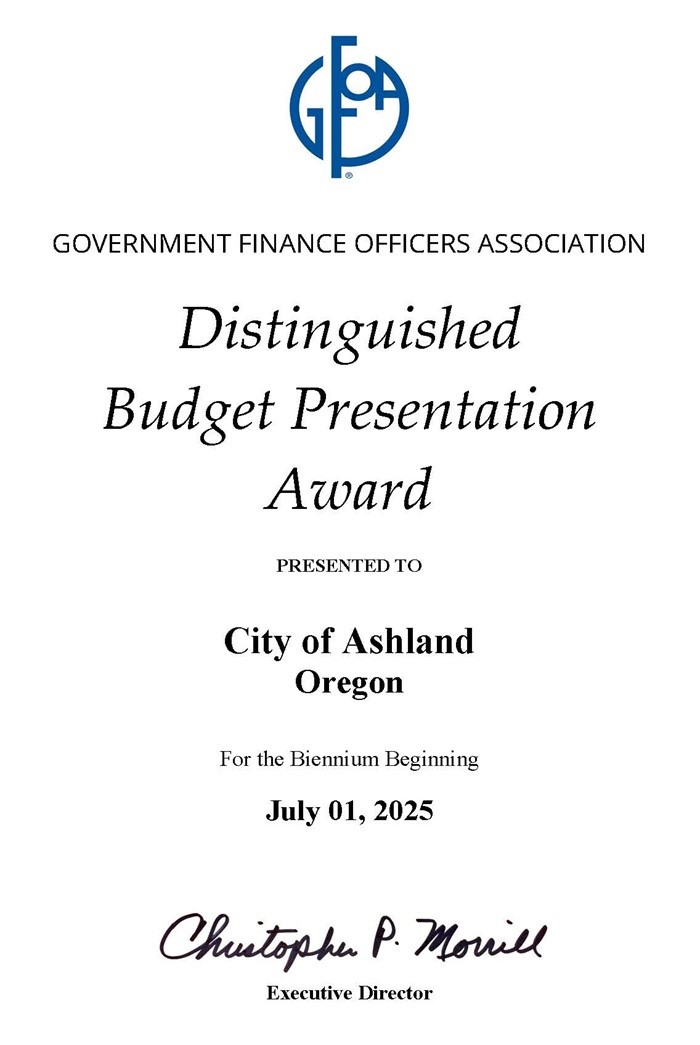 Budget award poster 