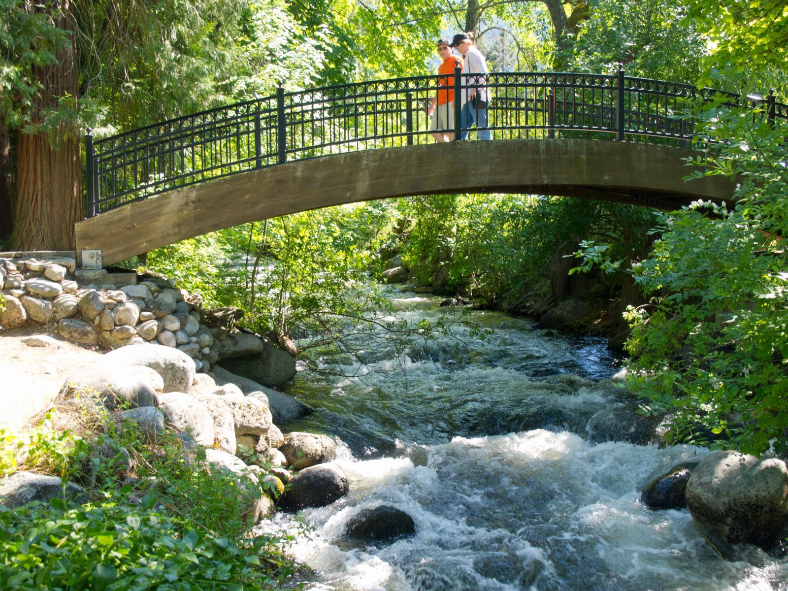 Arch Bridge Walkway Lithia Park 